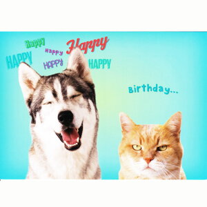 y}CPENGbPubVzLƌ̃o[Xf[J[h@nbs[nbs[nXL[