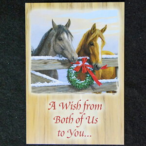 yp[VXENCgEEGA[XzNX}XJ[h@nƃ[X