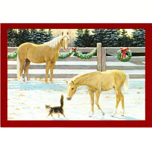 yp[VXENCgEEGA[XzLƔñNX}XJ[h@̖q