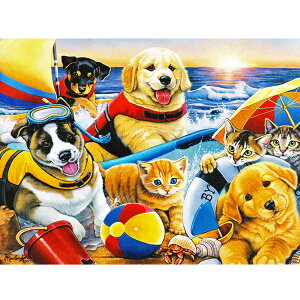 yWFj[Ej[hzLƌ̃o[Xf[J[h@r[`ofB[