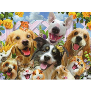 yn[hEr\zLƓ̃o[Xf[J[h@obN[hZtB[