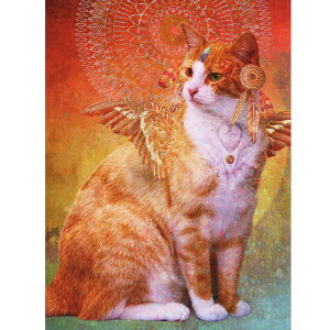 yWFiEfOb^OAzL̃o[Xf[J[h@LbgXsbg