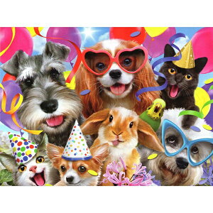 yn[hEr\zLƓ̃o[Xf[J[h@p[eB^CZtB[