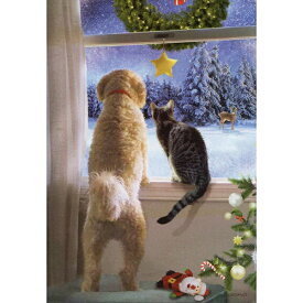 【ジョルダーノ・スタジオ】猫と犬のミニクリスマスカード　クリスマスの来訪者