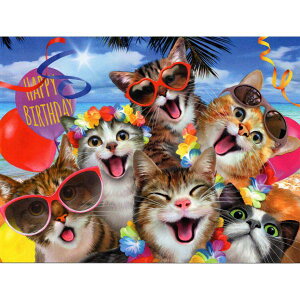 yn[hEr\zL̃o[Xf[J[h@r[`ŃLbgZtB[