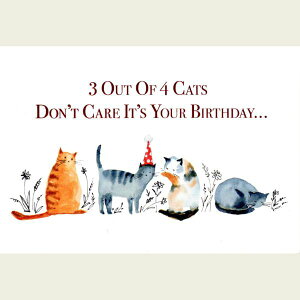 yX[UEEBQbgzL̃o[Xf[J[h@4Lbc