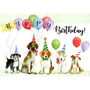 yX[UEEBQbgz̃o[Xf[J[h@WCtmCY