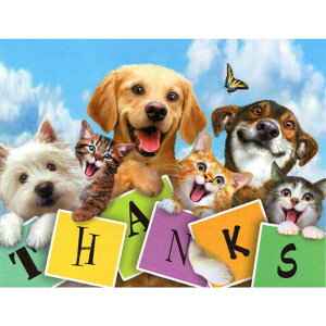 yn[hEr\zLƌ̃~jTNXJ[h@ZtB[TNX