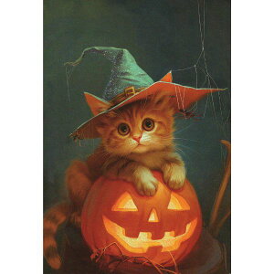 L̃nEBJ[h@WbNI[^ɏqL