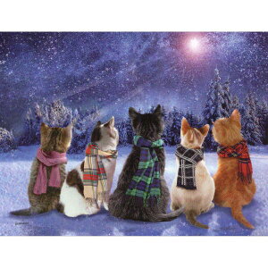 yW_[mEX^WIzL̃~jNX}XJ[h@EBbVtLeB[Y