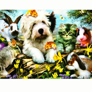 yn[hEr\zLƓ̌J[h@t@[[EtY