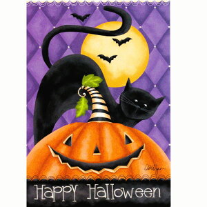 y[[EEVYzL̃nEBJ[h@nbs[nEB