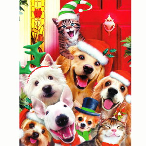 yn[hEr\zLƌ̃~jNX}XJ[h@X}CNX}X