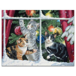 yp[VXENCgEEGA[XzL̃NVbNNX}XJ[hE{bNX@Xm[t[N