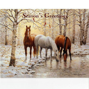 yp[VXENCgEEGA[XzñNX}XJ[h@tXeBTVC