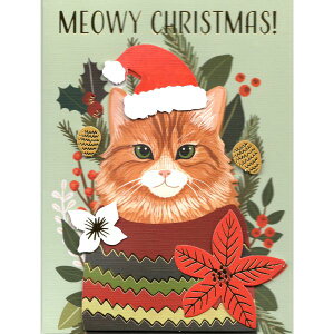 y~AE`zbNXENX}XJ[hE{bNX@~[C[NX}X