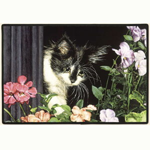 yXG[EXzL̃hA}bg@t@[XgXvO