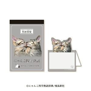 yɂ񂱎lnz_CJbg@v
