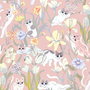 Ln@nora.@Ԃ₮@i50cmPʁj