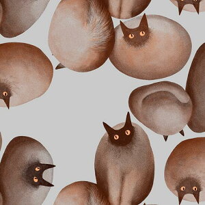 Ln@nora.@Xg[Lbc@i50cmPʁj