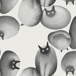 Ln@nora.@Xg[Lbc@i50cmPʁj