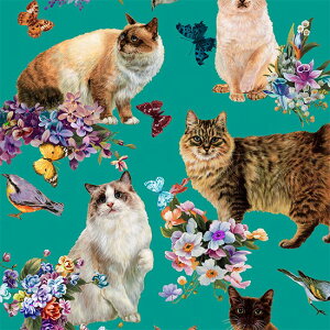 Ln@nora.@Sweet Perfume@i50cmPʁj