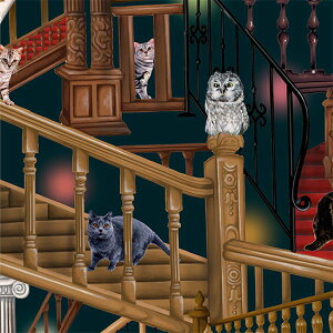 Ln@nora.@lRƃtNE̊ i50cmPʁj