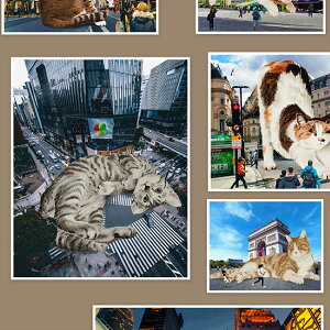 Ln@nora.@WCAgLbc@i50cmPʁj