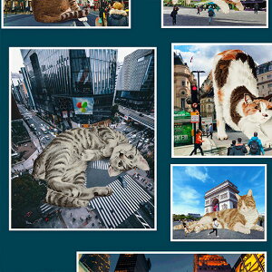 Ln@nora.@WCAgLbc@i50cmPʁj