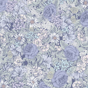 Ln@nora.@somewhere?@i50cmPʁj