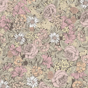 Ln@nora.@somewhere?@i50cmPʁj