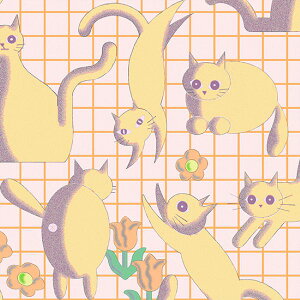 Ln@nora.@nekometry@i50cmPʁj