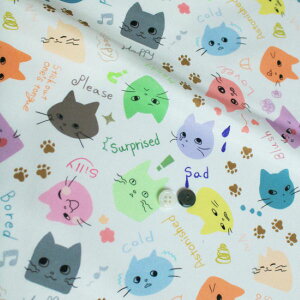 Ln@nora.@Lʑ@i50cmPʁj