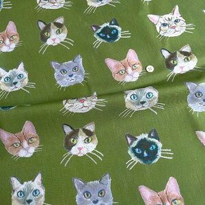 Ln@nora.@Cat Face@i50cmPʁj