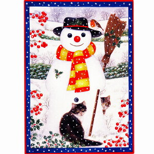 yAE[eB}[zL̃NX}XJ[h@Xm[tY