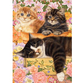 【アン・モーティマー】猫のブランクノートカード　クワイエット・ガーデン・アフタヌーン