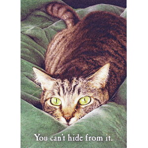 yXG[EXzL̃o[Xf[J[h@g[s[hLbg