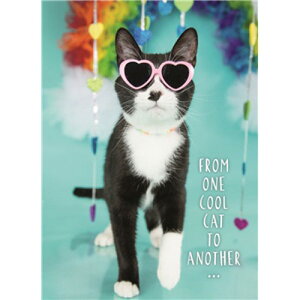 L̃o[Xf[J[h@XgbgEAEX^bt