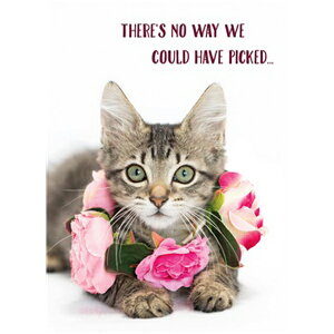 yP[E`[h\zL̃o[Xf[J[h@t[lbNX