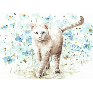 yTEI[fBbgzL̃uNm[gJ[h@{[z[Lbg