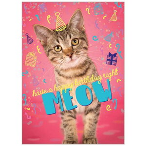 L̃o[Xf[J[h@o[Xf[LeB