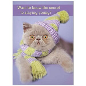 yC`FEw[zL̃o[Xf[J[h@ю̖Xqƃ}t[