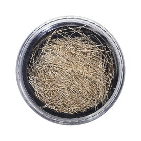 SHAREYDVA ソーイングコレクション シャンパンゴールドノイト ネイルアート ラメ ホログラム グリッター 糸 繊維 素材アート