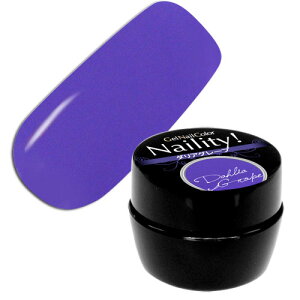 Naility!(lCeB[) WFlC J[ 149 _AO[v 4g \[NIt J[WF uv led Ή Y WFlC lCpi ZtlC lCeB[
