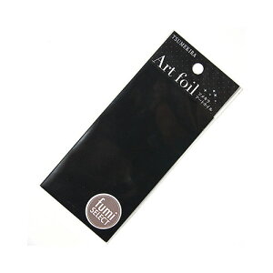 TSUMEKIRA Fumi�Z���N�g pianoblack (�s�A�m�u���b�N) AF-FUM-009 �A�[�g�z�C�� �c���L�� �t�~ �l�C���A�[�g �t�B���� �l�C���p�i �W�F���l�C�� �Z���t�l�C��