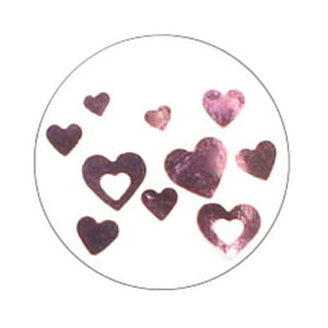 Charlon n[g~bNX sN V lCA[g  zO Ob^[ lCpi WFlC