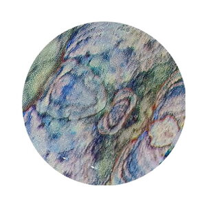 ICE GEL XeBbL[ I[tB }[u MB-04 u[ ACXWF zCV[g WFlC lCA[g V[g ] lCpi