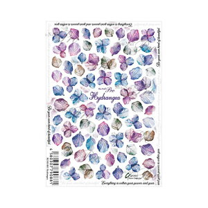 ʃlC Pro nChWA Sha-nail lCV[ v Pro {ݐ搶