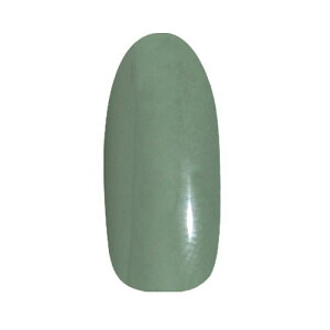 PREGEL �J���[EX �t�H���g���[�i�̋u PG-CE915 3g �\�[�N�I�t �J���[�W�F�� uv led �Ή� ���Y �W�F���l�C�� �l�C���p�i