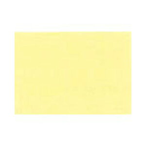 Liquitex ANbNJ[ \tg^Cv 0020 CG[~fBAA] G-2 lCA[g ANG̋ yCgA[g tbgA[g lCpi